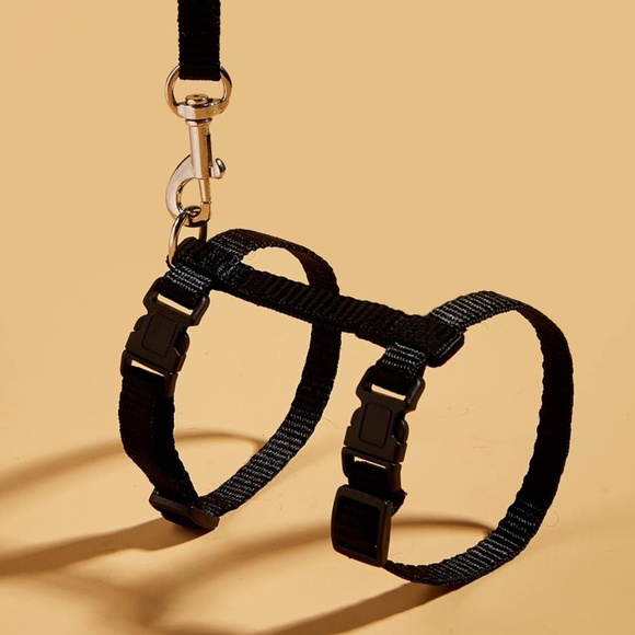 Black Pet Harness Leash - Picture 3 of 5
